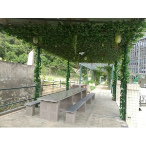 公司环境