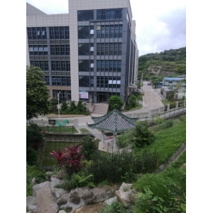 公司环境