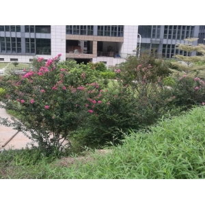 公司环境