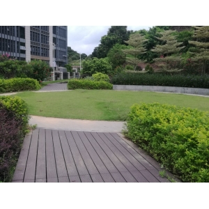 公司环境