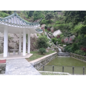 公司环境